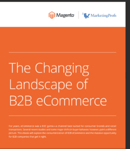 Magento_B2B_Changing_Landscape