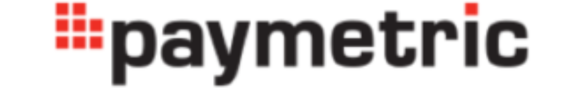 Paymetric-Logo-scaled