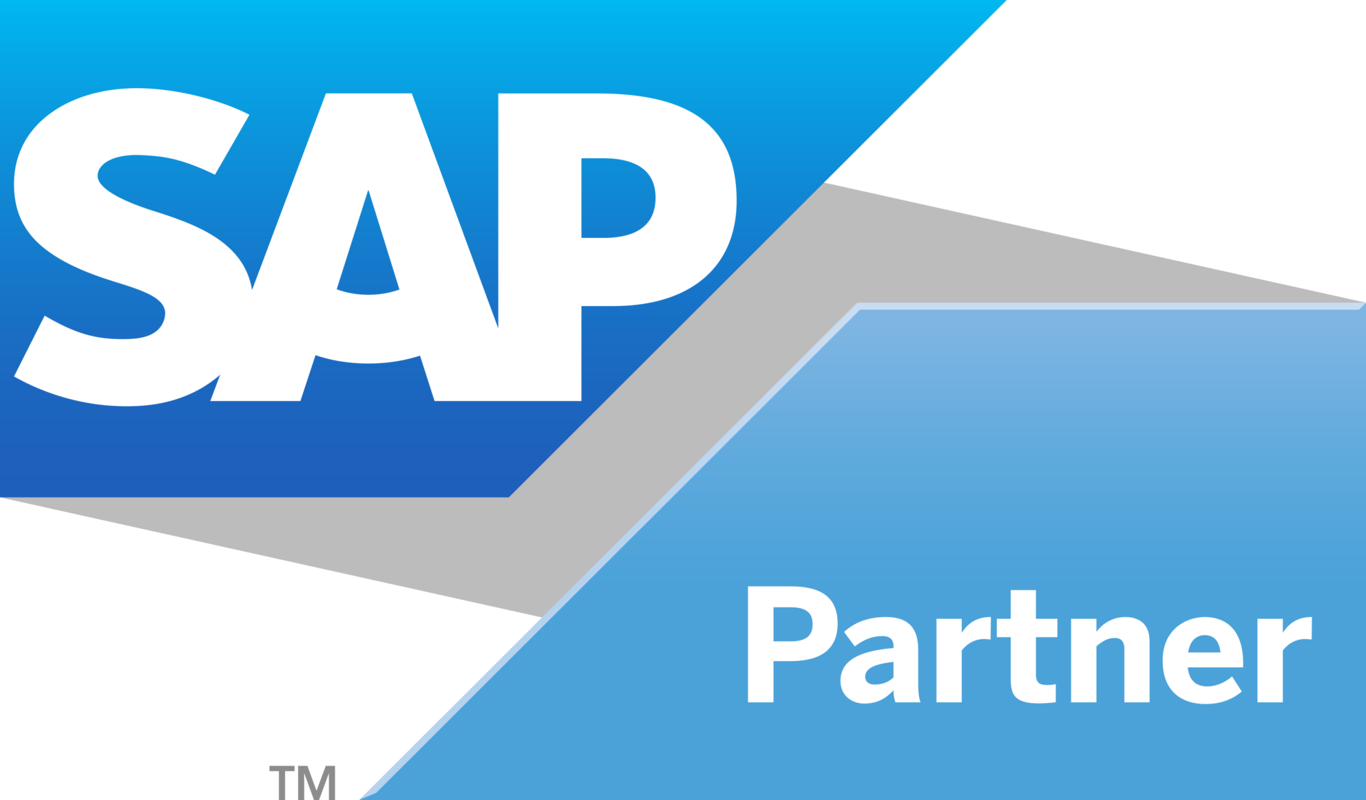 SAP-partner-logo-scaled